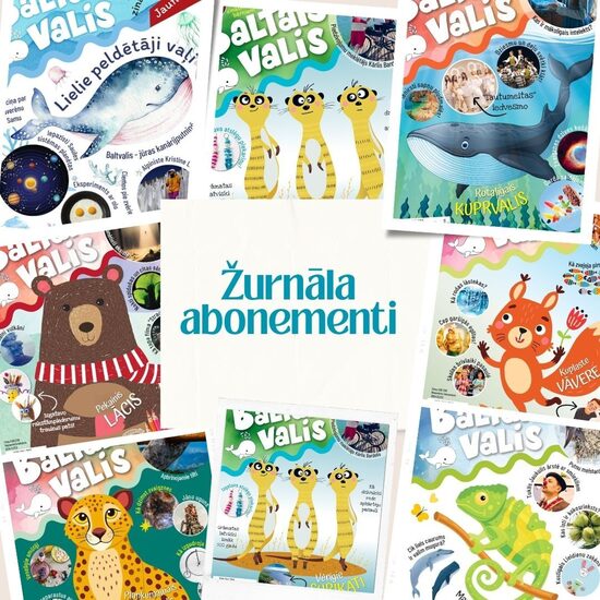 Žurnāla abonementi