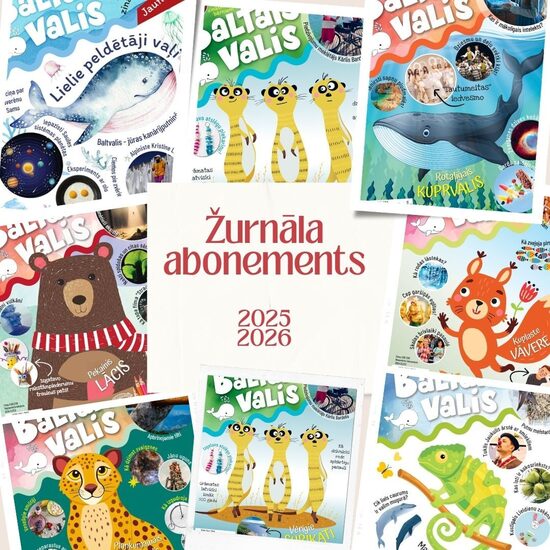 Žurnāla abonements 2025, 2026. gadam